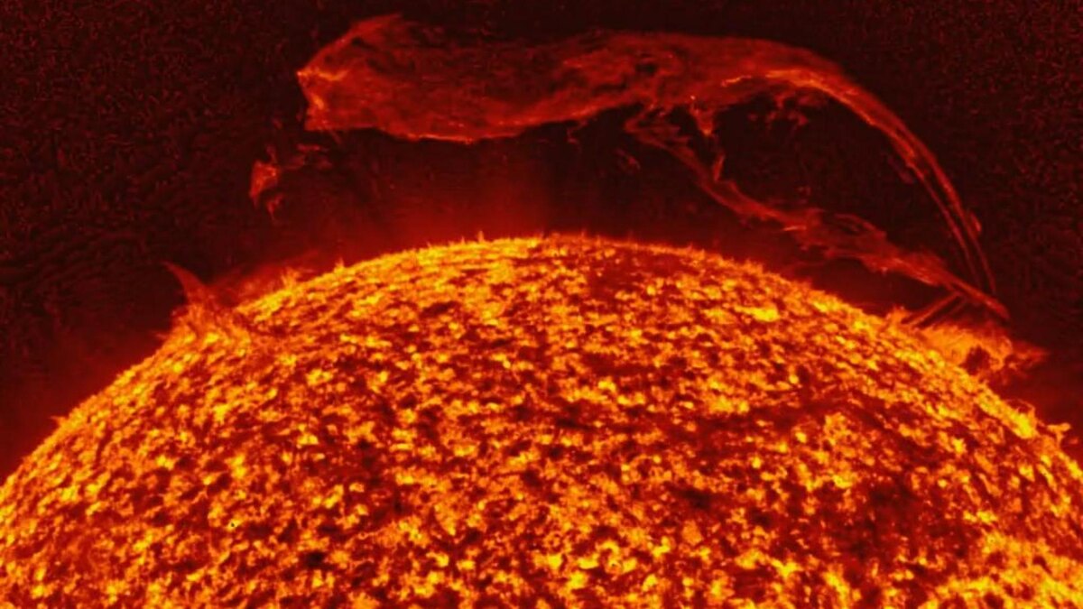    Фото: t.me/lpixras