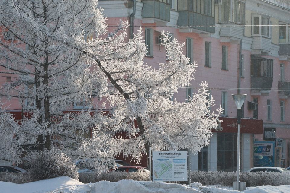    Барнаул. Зима. Источник: Виталий Барабаш / СИ «Толк»