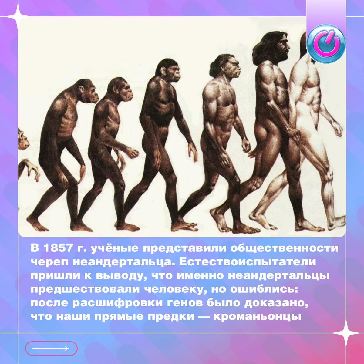 В 1857 г. учёные представили общественности череп неандертальца, древнего человека, названного по месту находки, в германской долине Неандерталь. Предположительно, он имел объём мозга, почти как у человека, к тому же, у дикарей нашлись захоронения тел. Естествоиспытатели пришли к выводу, что именно неандертальцы предшествовали человеку, но ошиблись: после расшифровки генов было доказано, что наши прямые предки — кроманьонцы. Их остатки найдены в пещере Кроманьон во Франции. 