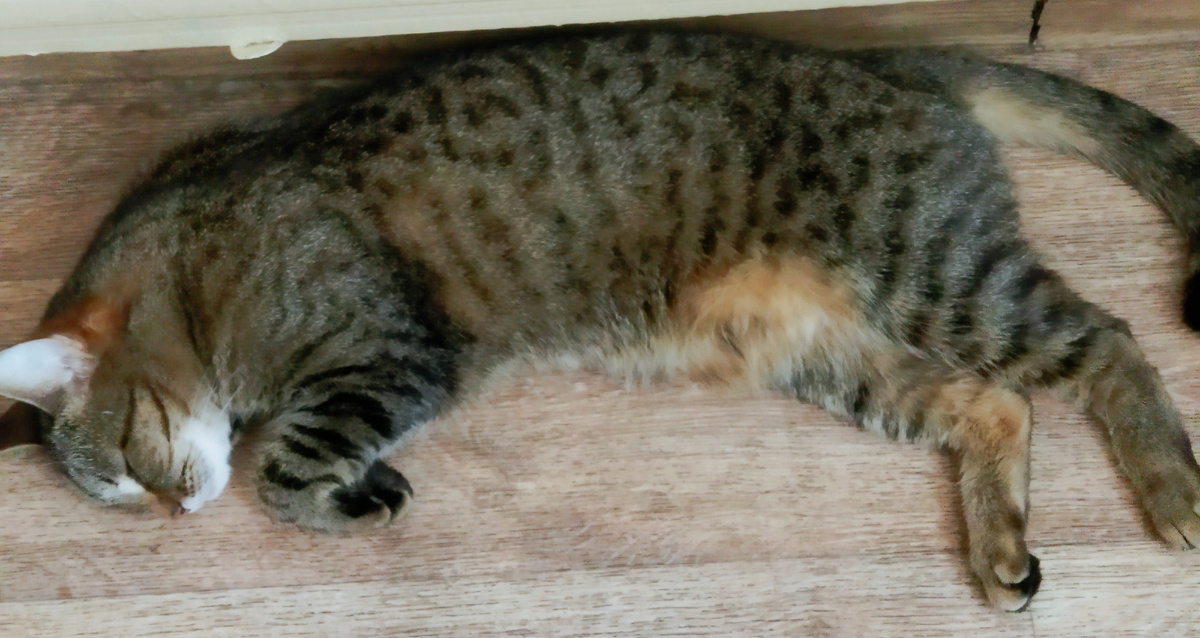 Фото автора