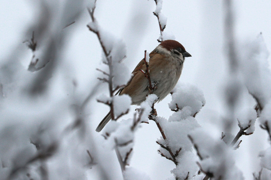    Сергей Булкин/NEWS.ru