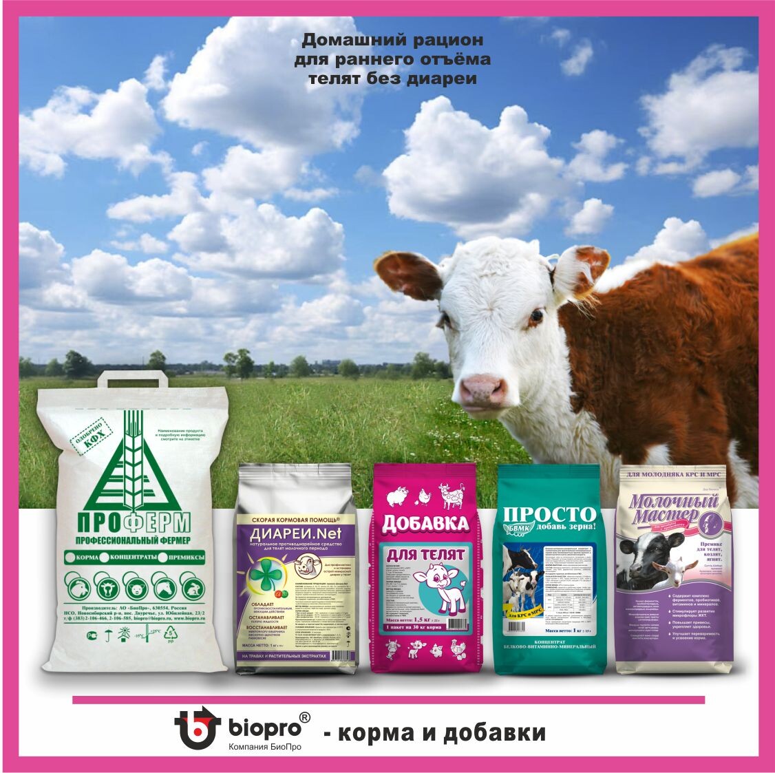 Использование специализированных премиксов линейки «Молочный Мастер» в составе стартерных кормов позволяет:  Поддержать формирование здоровой микрофлоры желудочно-кишечного тракта. Укрепить иммунный статус и снизить риск метаболических расстройств. Обеспечить организм растущего телёнка всеми необходимыми питательными веществами для равномерного развития.