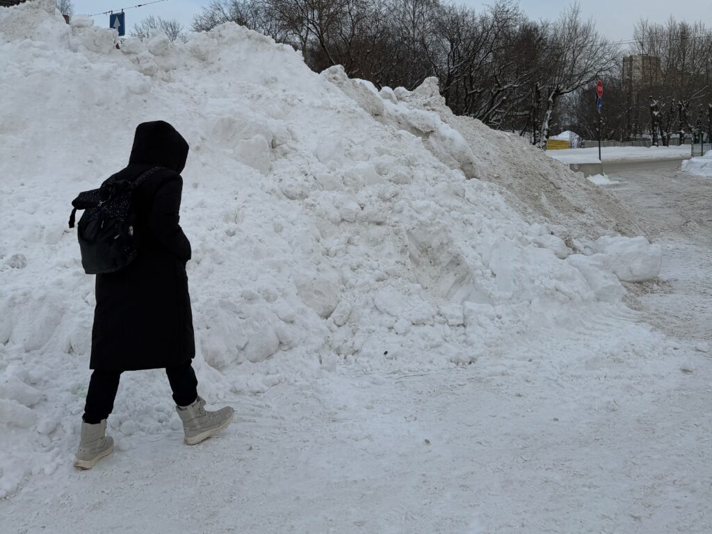    Фото: В курсе.ру Полина Анкушина