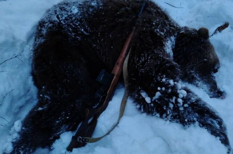 Минлесохоты Камчатского края