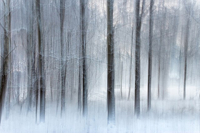    Trees photographed with handheld ICM (intentional camera movement) on Myrstigen hiking trail in winter in Brastad, Lysekil Municipality, Sweden. Василий Соколов
