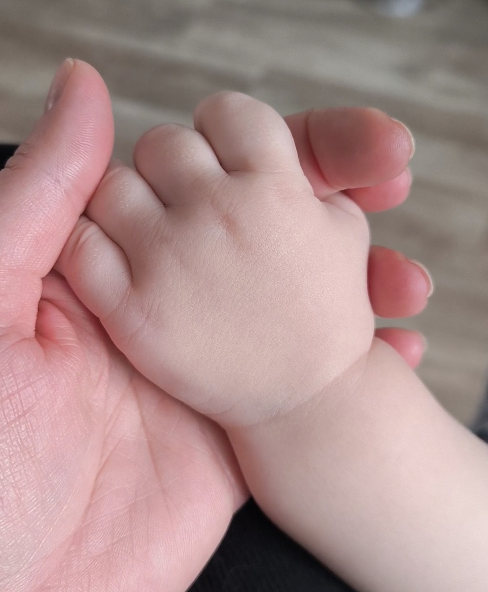 Все фотографии в статье авторские. 