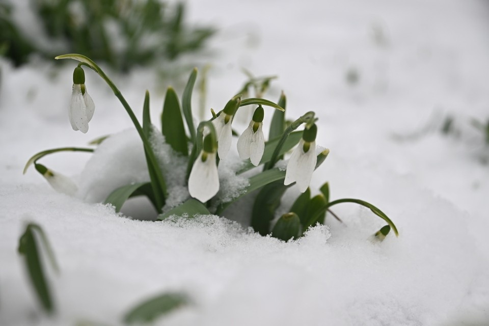 В Новосибирской области в конце недели потеплеет до +1 градуса. Фото: Иван МАКЕЕВ