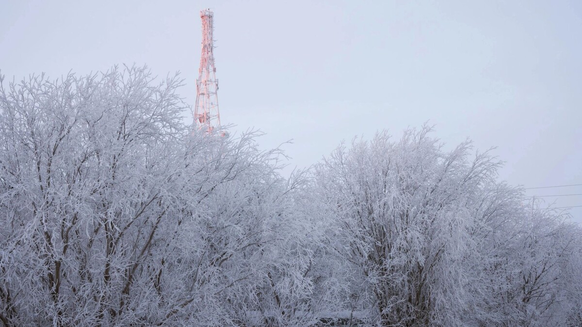   Фото: Юлия Чудинова/«Ямал-Медиа»