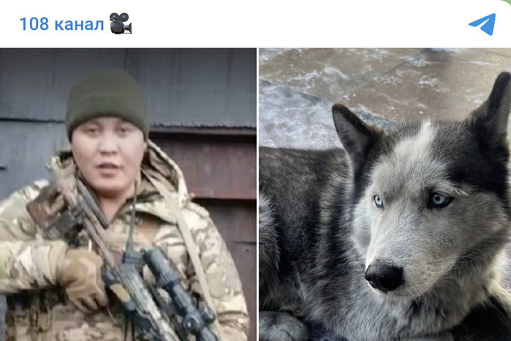 Соцсети в Туве: возле аэропорта собака ждет погибшего на СВО хозяина