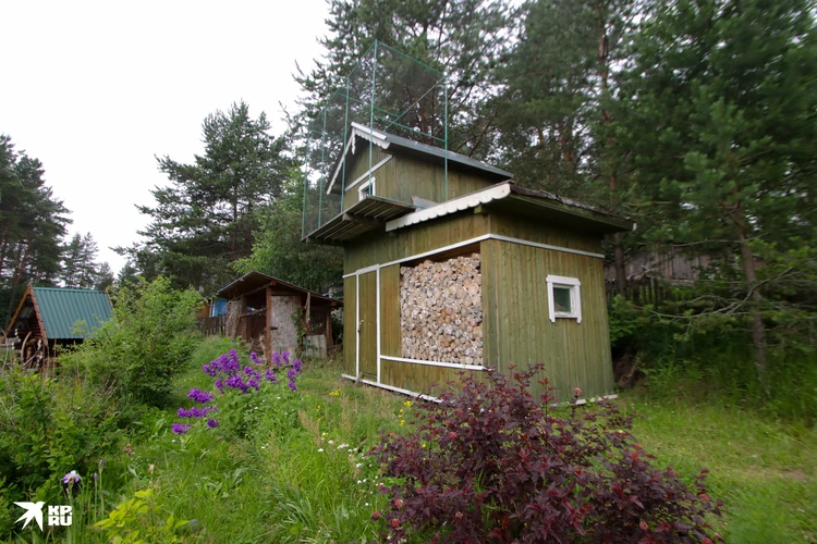 Фото: Александр ДЫБИН. SPB.KP.RU