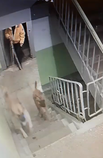    Источник фото: Тг-канал "Случилось в Приморье"