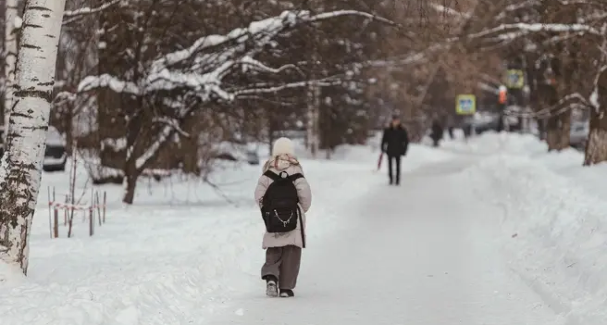    Артем Бауман / 76.RU с сайта n1s1.hsmedia.ru