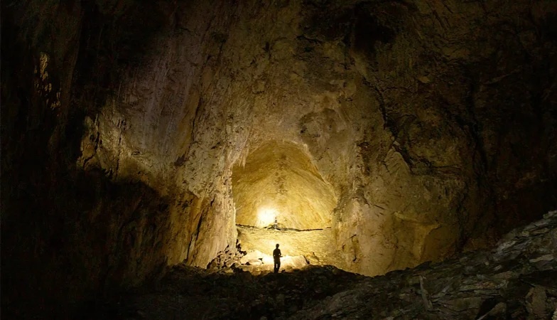 «Вероятно, они оставались нетронутыми на протяжении 49 миллионов лет»