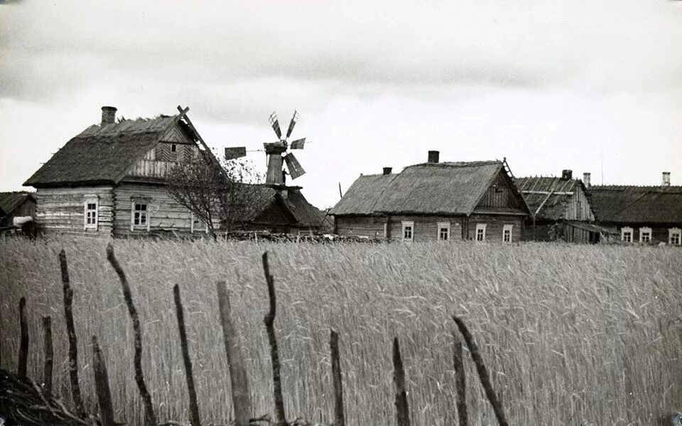 Взято из открытых источников интернета Яндекс.