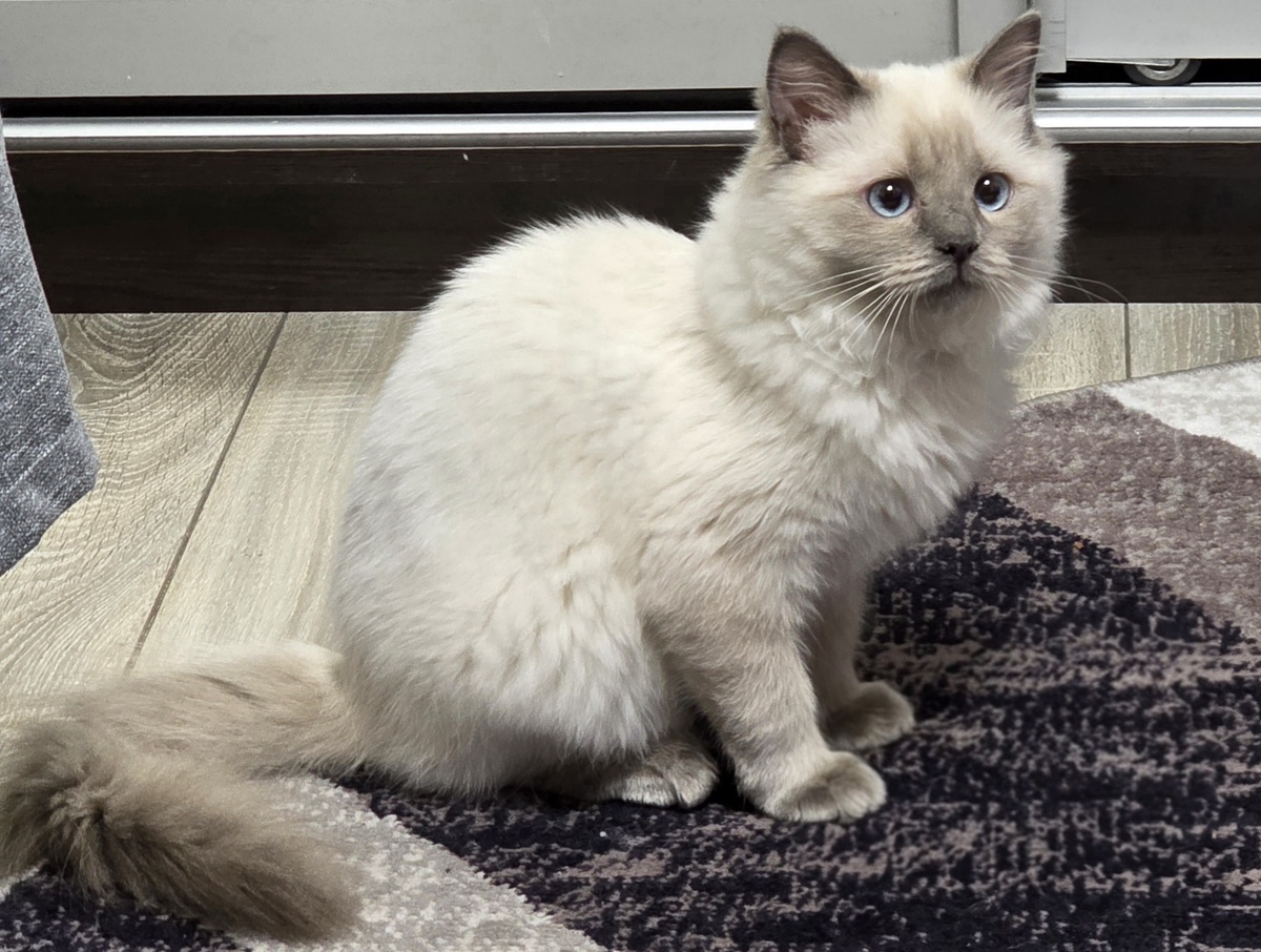 Фото из личного архива