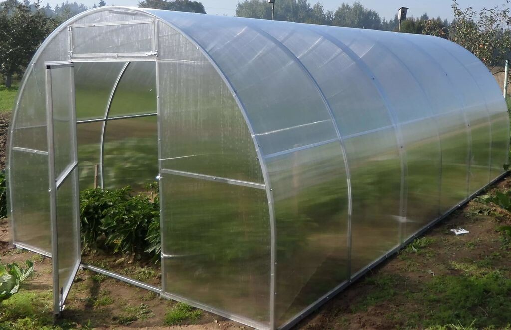 Только в идеально чистой теплице можно получить лучший урожай любимых культур