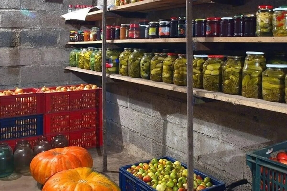Чистота в погребе необходима для создания лучших условий сохранности продуктов