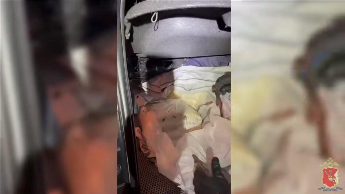    Фото: t.me/mediamvd