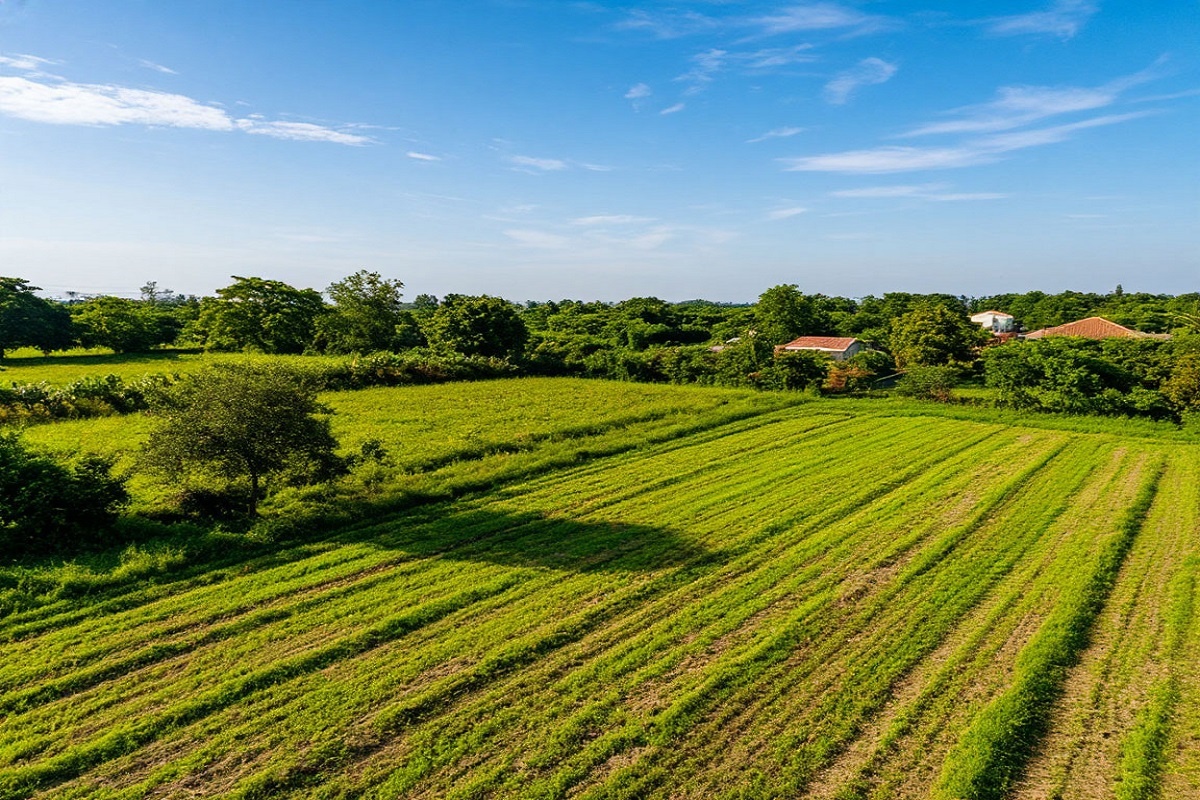    Фото: коллаж RuNews24.ru