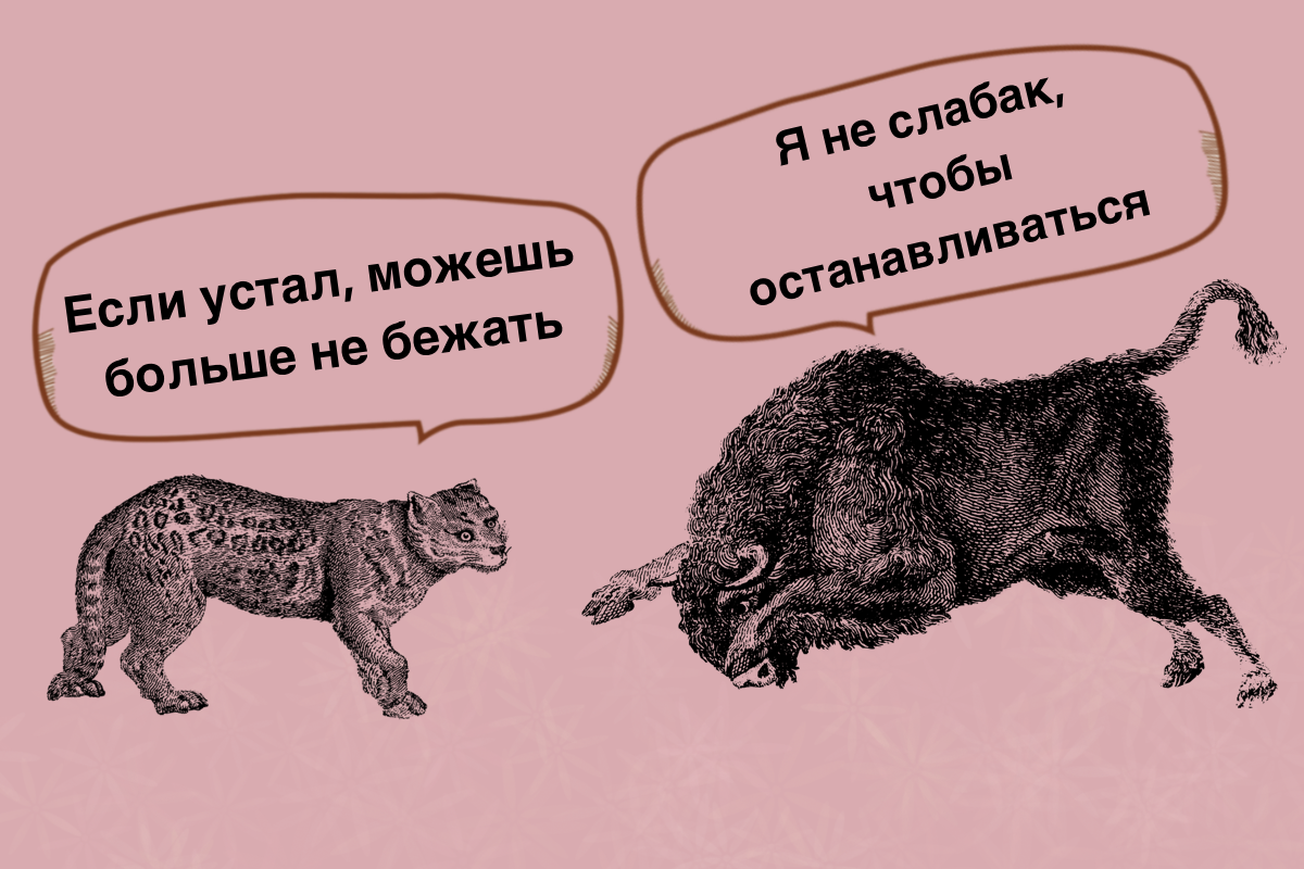 Наши собственные установки, порой, не дают нам выдохнуть и увидеть, что бежать - не обязательно, чтобы достичь цели. 