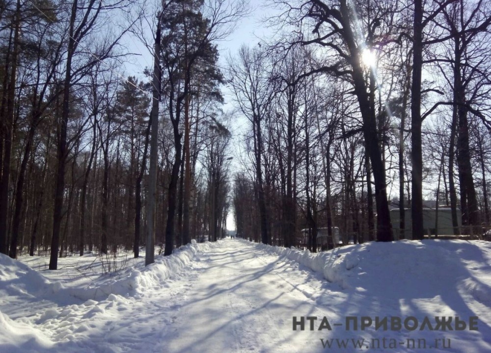    Народные приметы: 4 февраля