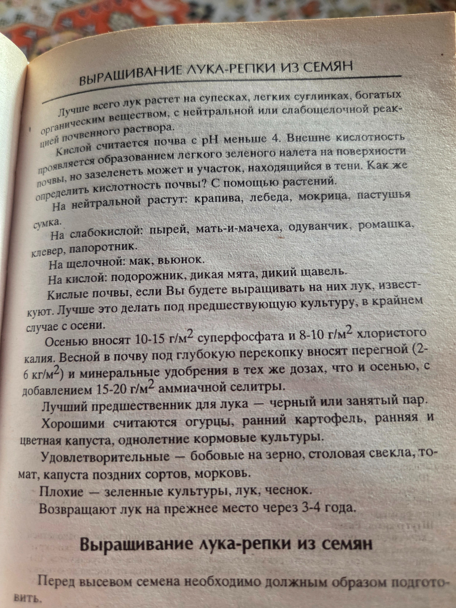 Фото: Зеленая леди, сад, семья и томатный сок