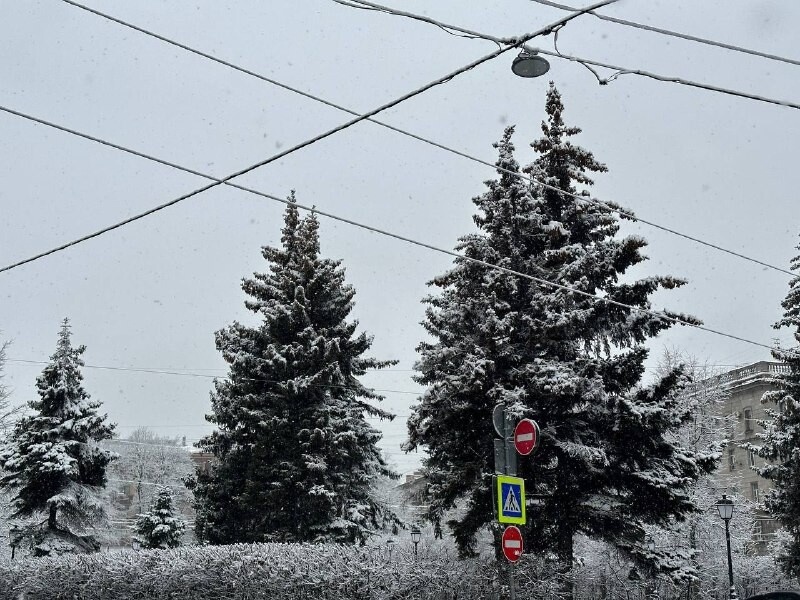     Фото: Бриф 24