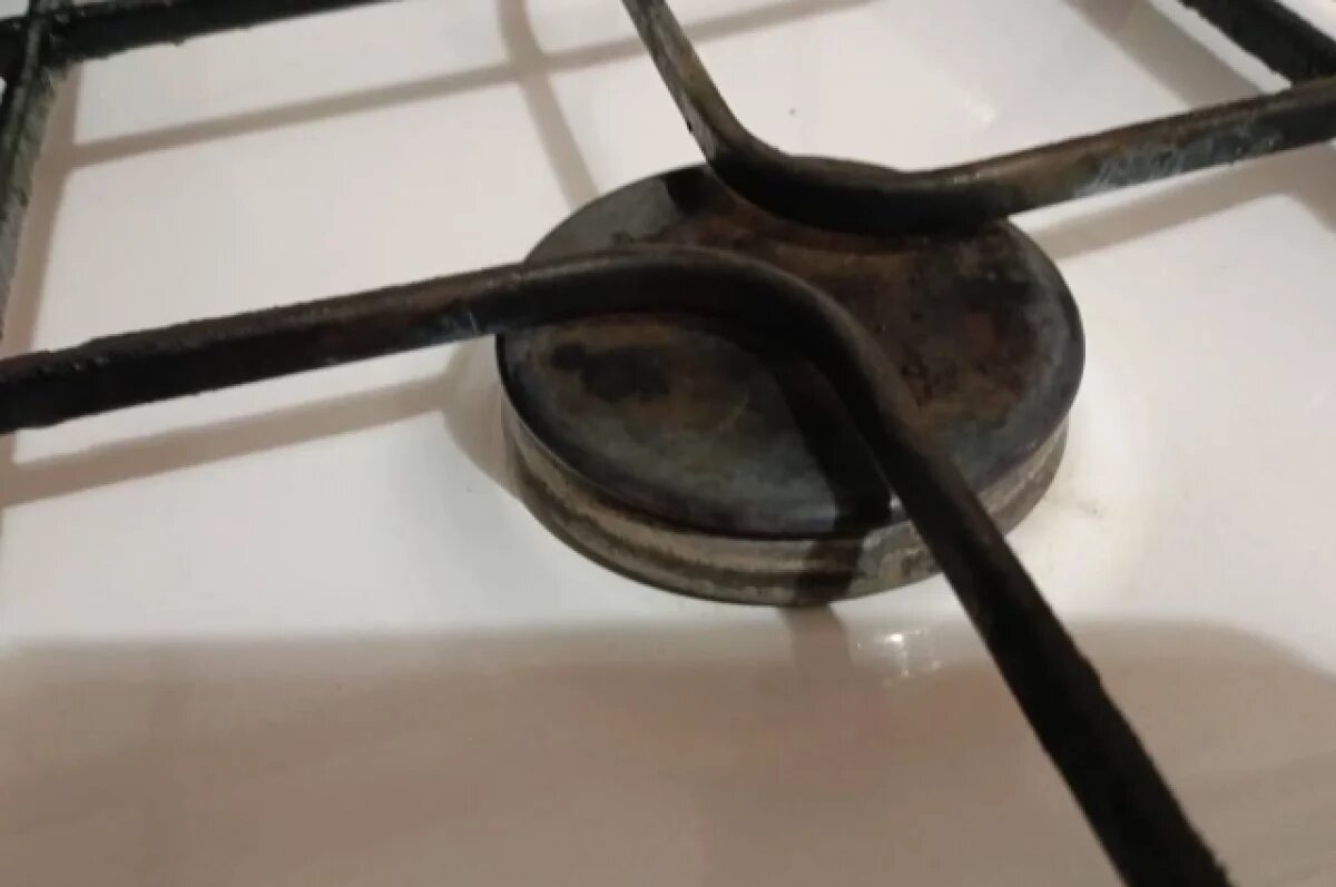    Тулякам объяснили условия социальной газификации СНТ