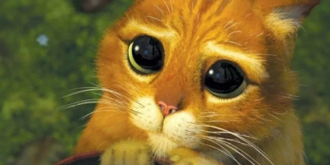 Ваш кот манипулирует вами! 5 психологических приемов, которые он использует виртуозно