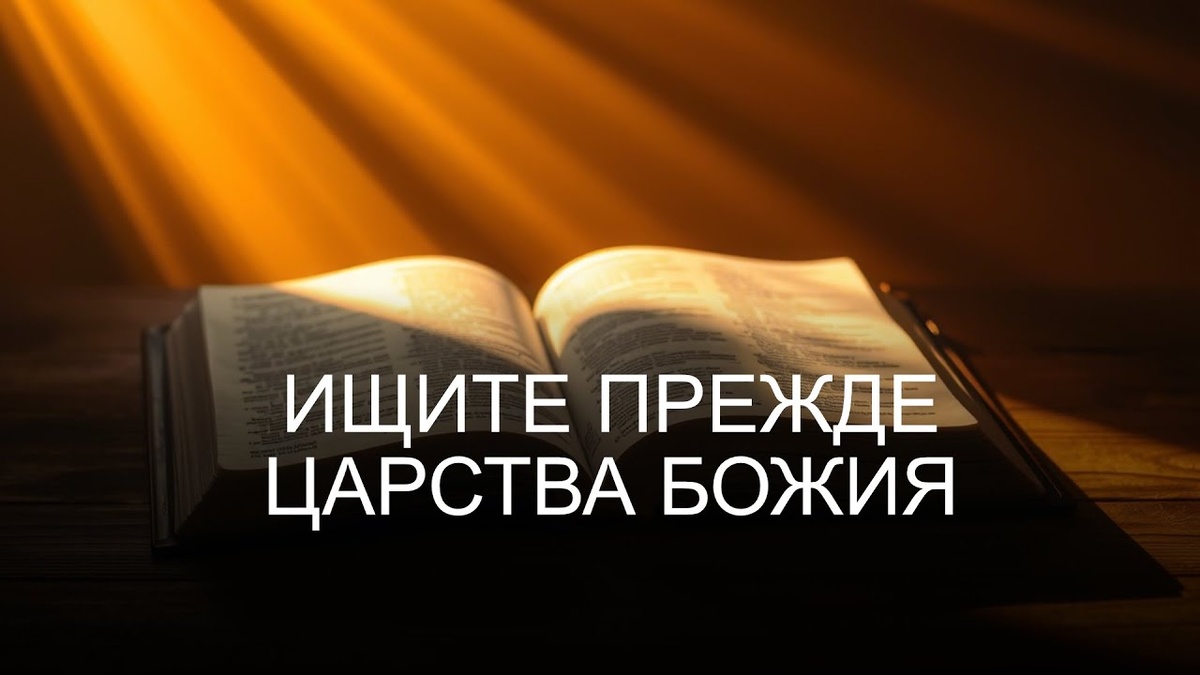 Из открытых источников Яндекса.