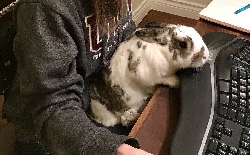 Страдания по отдыху: неожиданный недостаток гибкого графика