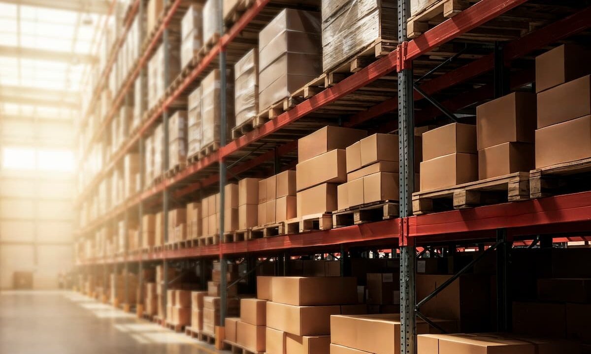    Фото freepik.com