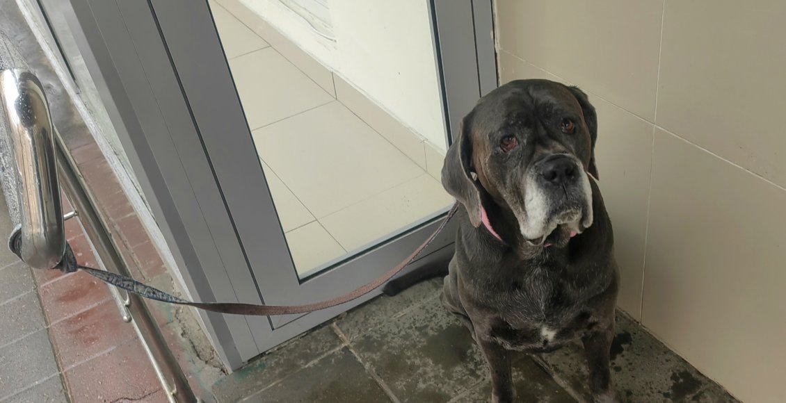    Фото: НИА "Экология"