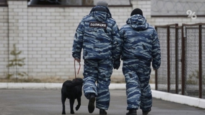      Фото: ИА «Победа26»