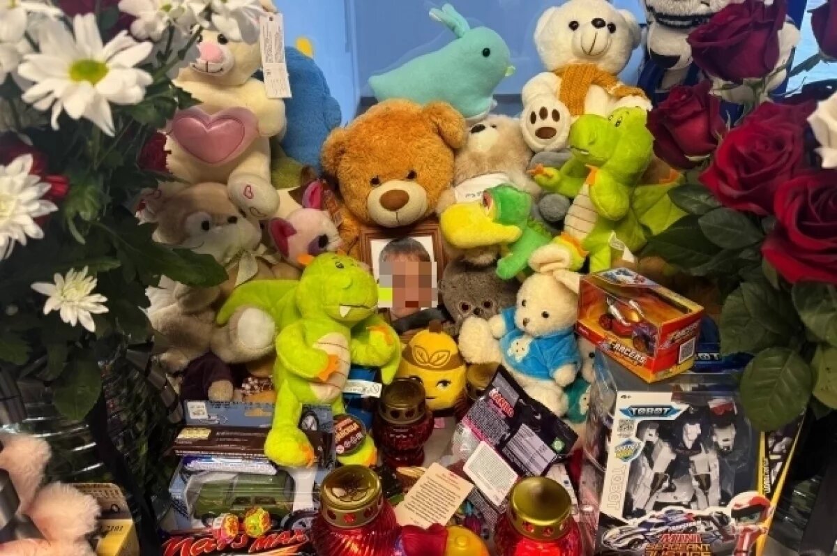    Спецкомиссия изучит дело семьи убитого 9-летнего мальчика в Петербурге