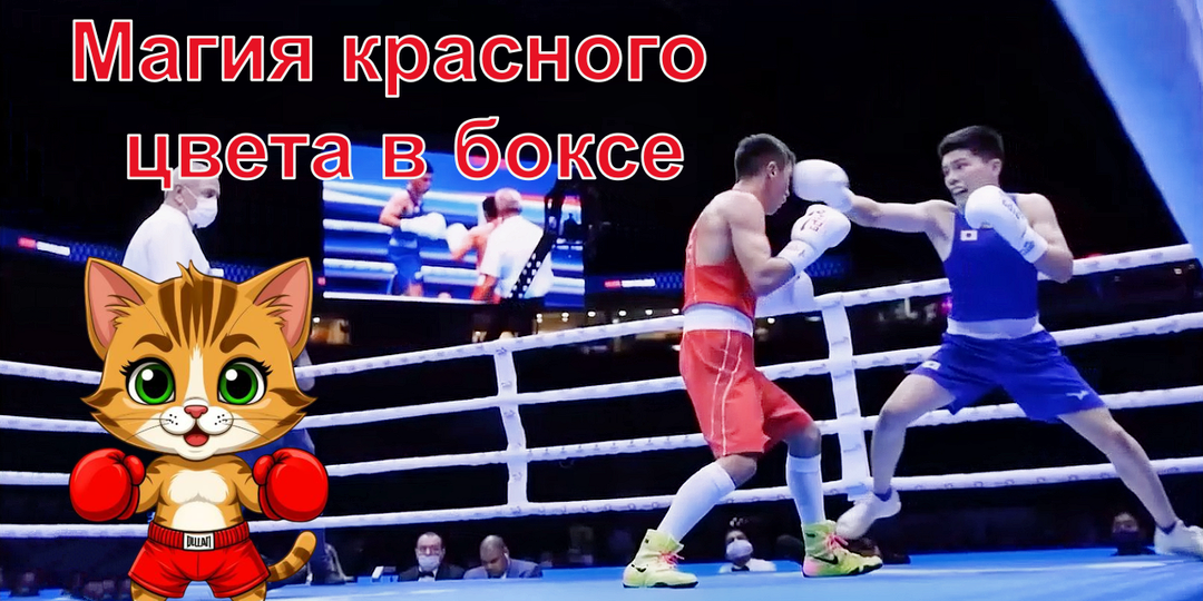 Магия красного цвета в боксе: почему чемпионы выбирают именно его