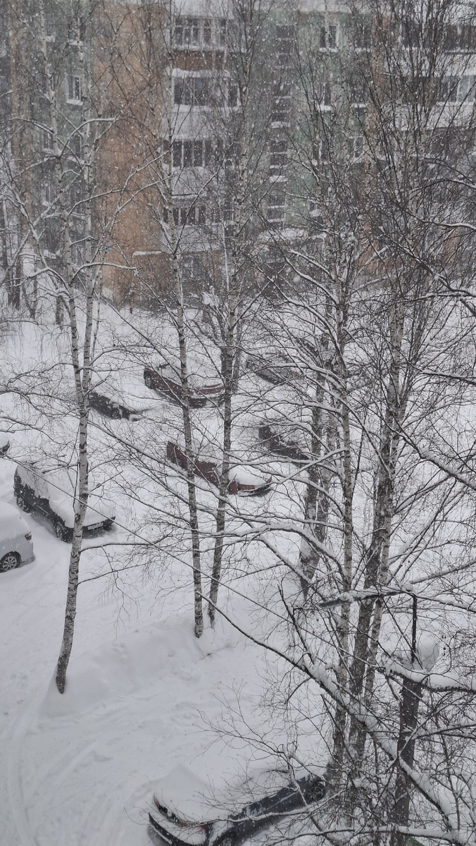 Двор. Машины под сугробами снега. А те, которые не выезжали пару дней, совсем утонули в снегу по самые...окна.