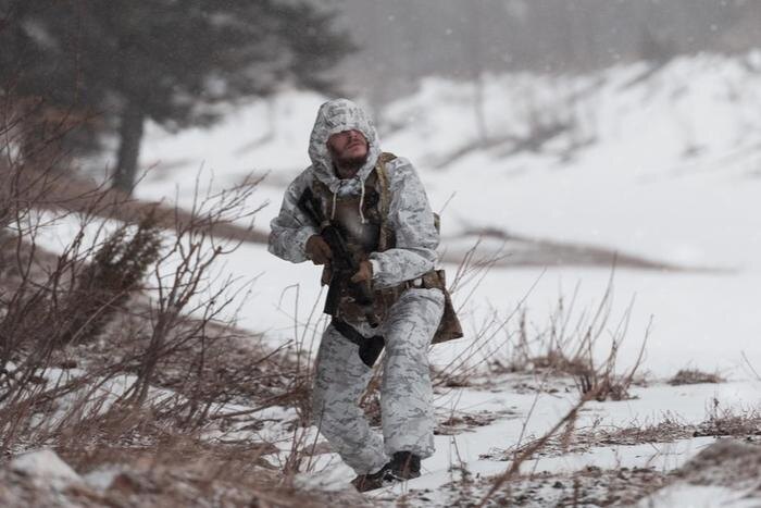 Обложка © Shutterstock / FOTODOM / dotshock