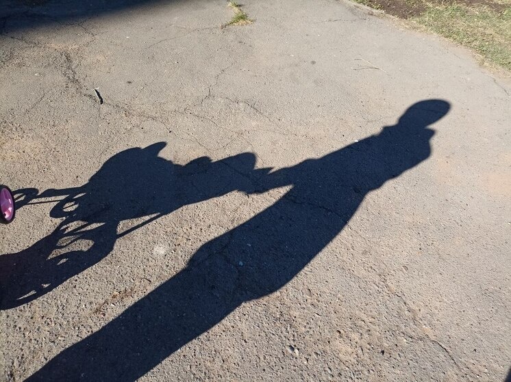     Результаты проверки могут привести к лишению родителей прав на оставшихся детей. Фото: архив МК в Питере