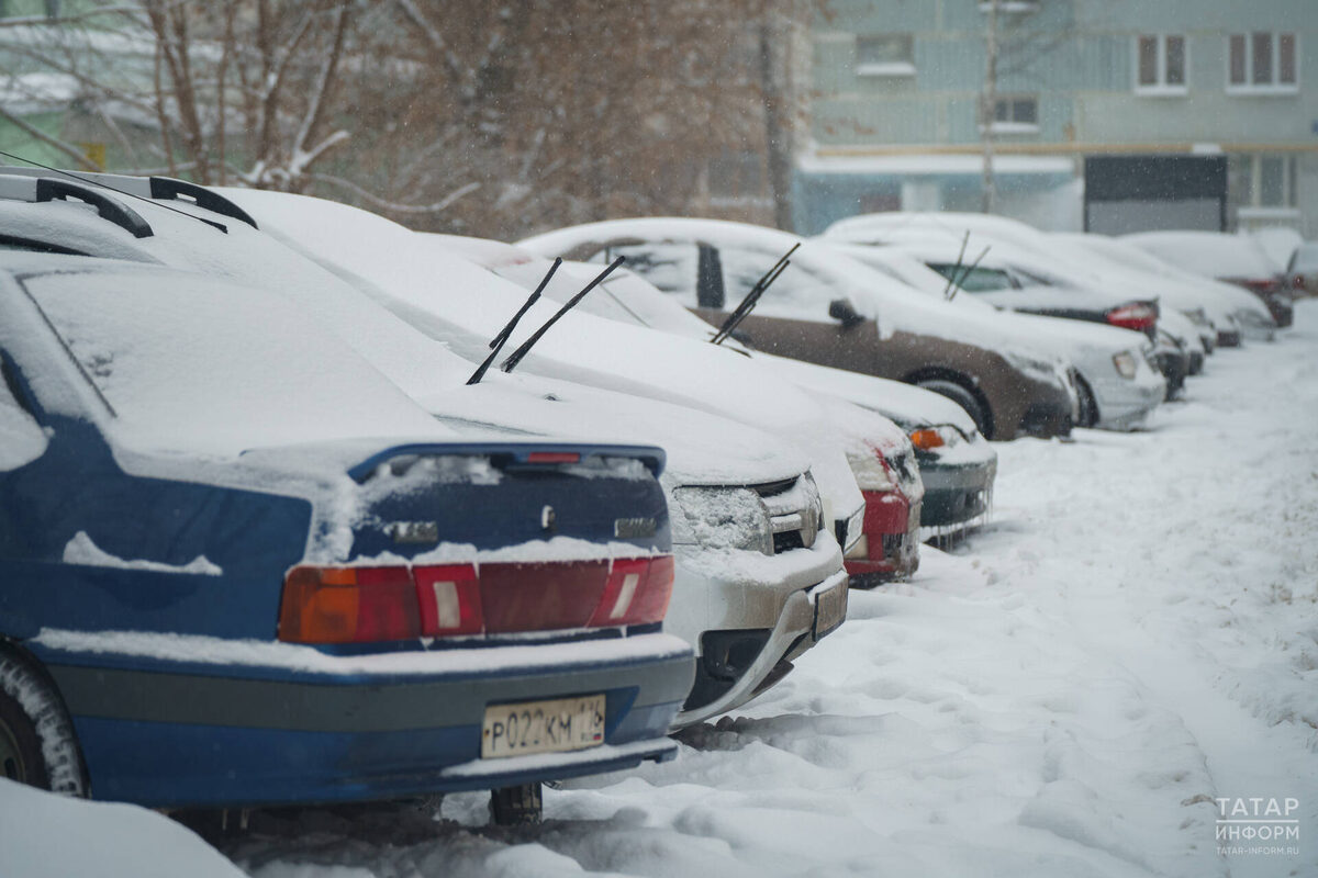 Фото: © Владимир Васильев / «Татар-информ»