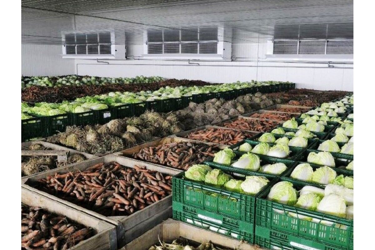 Из сети Интернет