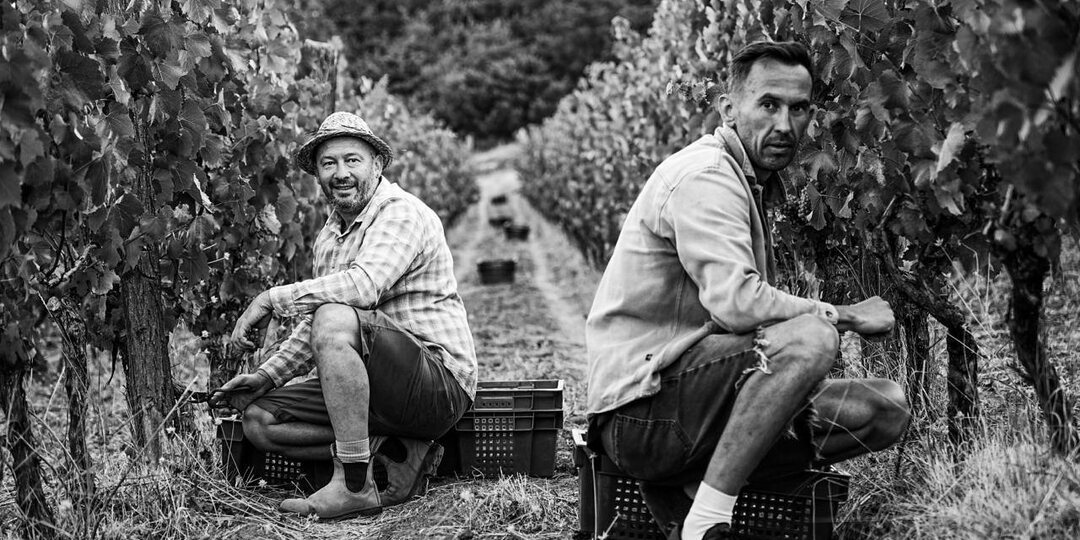 Честный бизнес