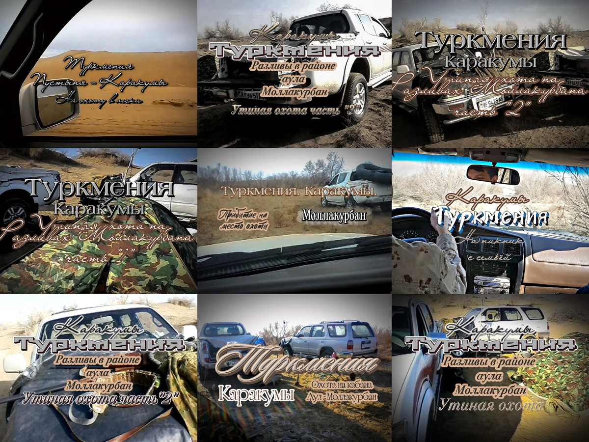 Коллаж обложек  публикаций на канале. Статьи и видео охоты в песках Каракумской пустыни