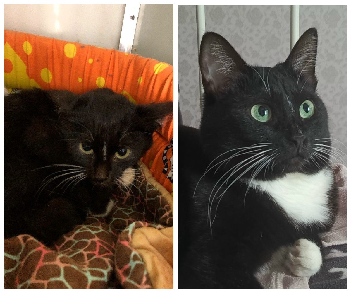 Эфриса– выпускница приюта.