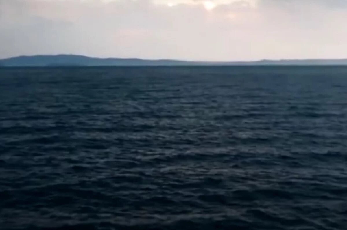    В Австралии подросток спас семью, проплыв четыре часа в открытом море