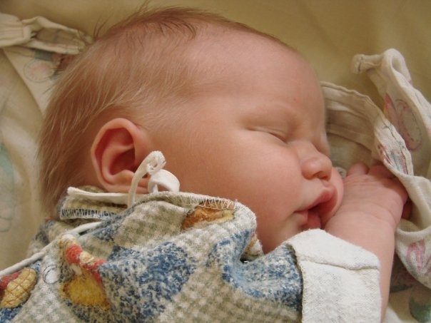    фото: © Столица на Онего