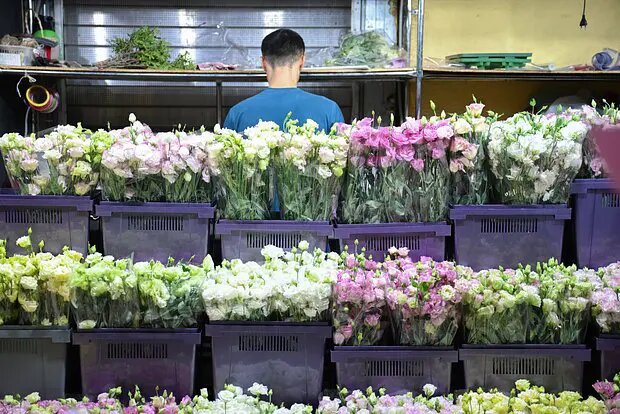    Фото: lenta.ru Ева Усова