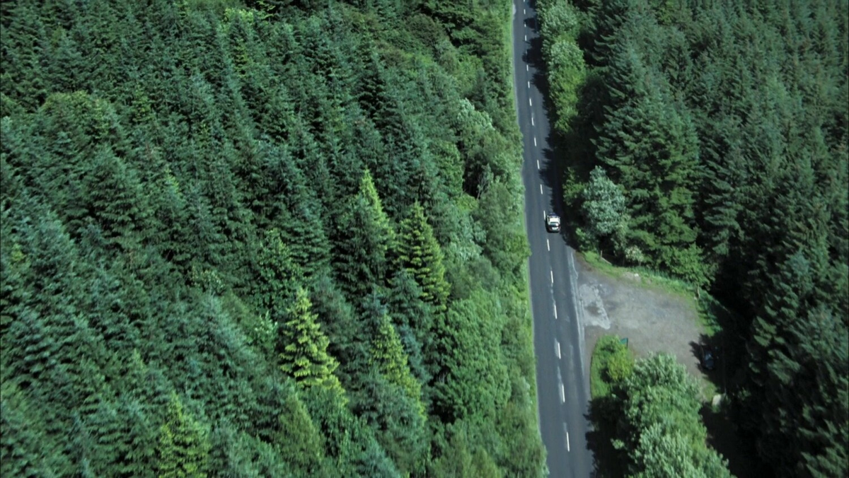 Фото из свободных источников.