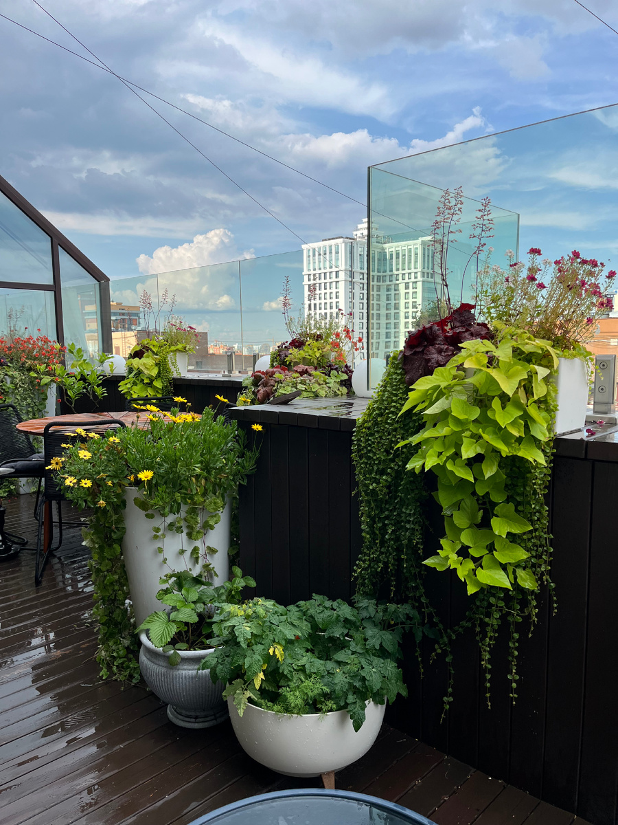 Озеленение террасы в Тюмени / фото из личного состава 