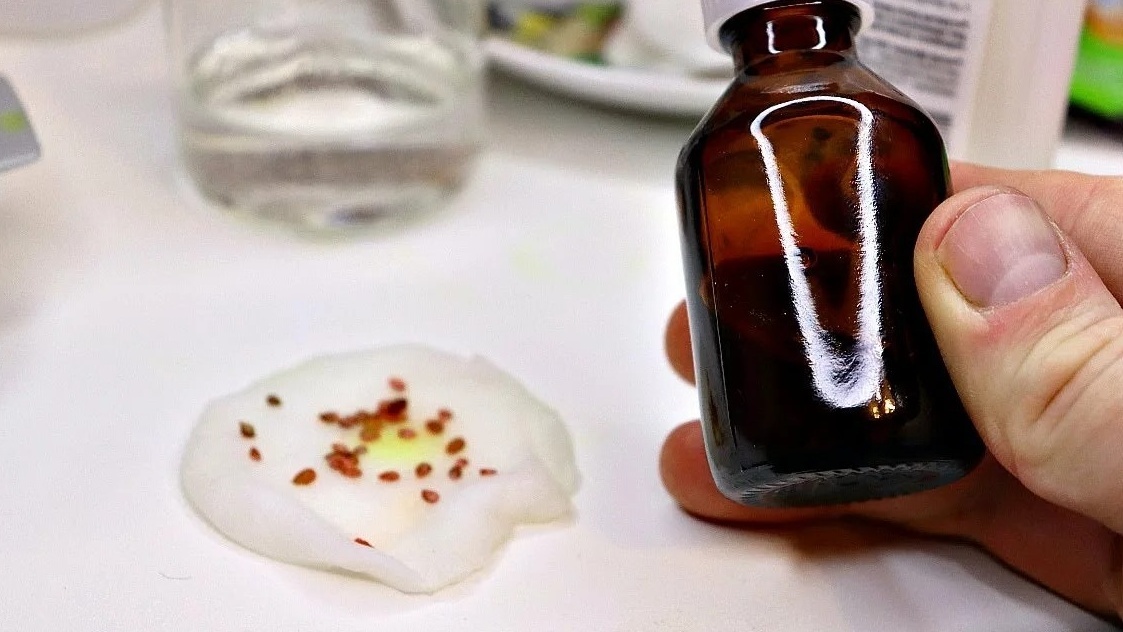 Замачивание семян